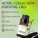 Elegant Charisma Hotel Diffuser Oil - 10ML Pure Cedarwood & Sandalwood Essential Oil | Inspired by Shangri-La Hotel Collection - International Shipping Available - Buy Online on GoSupps.com