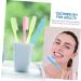 Kombiuda 6-Pack Premium Adult Toothbrushes - Hard Bristles for Deep Cleaning - Buy Online on GoSupps.com