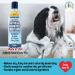 Organic Oatmeal Dog Shampoo & Conditioner | Deodorizing Formula for Pets | Soothes Dry Itchy Skin | 17oz - Buy Online on GoSupps.com