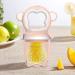 Fruit Bite Rings for Babies | Ergonomic Fruit Feed Pacifier & Massage Toy - Safe & Fun for Toddlers | Rosa Monkey M - Buy Online on GoSupps.com