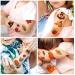 Thanksgiving Day Kids Temporary Tattoos - Autumn Harvest Face & Body Art Decoration Stickers - Turkey & Pumpkin Design - 10 Sheets - Buy Online on GoSupps.com