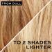 Go Blonder Lightening Conditioner 250ml - For Blonde Hair - Buy Online on GoSupps.com