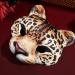 Shop Alipis Halloween Leopard 2pcs Half Masquerade Accessories - Realistic Animal Cat Costume for Carnival & Mardi Gras - Buy Online on GoSupps.com