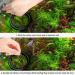 SunGrow Betta Feeding Ring - Prevent Water Turbulence, Floating Food Holder for Guppies, Goldfish, Small Fish - 1 Piece - Buy Online on GoSupps.com