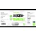 Hepatica Quercetin + Nettle Complex 500mg | 120 Vegan Capsules | High Strength, Gluten & GMO Free | 3rd Party Lab Tested - Buy Online on GoSupps.com