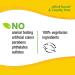 Alba Botanica Acnedote Anti-Pimple Pads - Maximum Strength 60 Textured Pads for Clear Skin - Buy Online on GoSupps.com