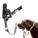 Alpha Boy Dog training collar comfortable and gentle dog handlebars for all breeds easy-to-use dog handlebars real leather strap one-piece dog-pulling harness with quick lock buckle (m) medium
