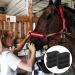 HAICN Horse Brush Horse Body Cleaning Sponge Horse Cleaning Washing Bathing Grooming Scrubber Equine Care Massage Cleaning Kit (3) - Buy Online on GoSupps.com