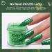 Green Shine Glitter Hexagon Sequins Dip Powder Nails - 28g/Box, Long-lasting, No UV Light Needed | HJ-ND064B-No.125 - Buy Online on GoSupps.com