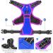 Phoepet Reflective Dog Harness - Adjustable Vest with Training Handle 2 Metal Hooks & Snap Buckles - Medium K nigsblau - Buy Online on GoSupps.com