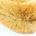 JAPAN Handcrafted Tawashi brush scrubbing cleaning natural palm fiber Set of 2 - Buy Online on GoSupps.com