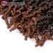 Pre-twisted Spring Twist Crochet Hair Short Curly Braids 8 inch (Pack of 4) T30 - Synthetic Hair Extensions - Buy Online on GoSupps.com