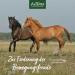 Buy Aniforte MSM Powder for Horses 1.5 kg - High-Purity 99.94% Organic Sulfur Joint Supplement - Buy Online on GoSupps.com