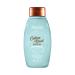 Aveeno Blend Sulfatefree Shampoo for Light Moisture Soothed Scalp Gentle Cleansing Shampoo With Nourishing Oat Paraben Dyefree  White Cotton  12 Fl Oz 12 Fl Oz (Pack of 1) Shampoo