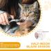 Bezox Professional Claw Scissors for Dogs & Cats | Ergonomic Stainless Steel Nail Clippers with Files for Medium & Small Pets - Buy Online on GoSupps.com