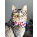 BIPY Union Jack Dog Bow Ties UK Flag Patriotic Dogs Collar Bowties For Holiday Party Celebrations King Charles Coronation Pet Grooming Accessories for Small Medium Cat Puppy Union Jack Bow Tie 9X5CM for SMALL and MEDIUM DOGS - Buy Online on GoSupps.com