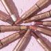 Buy Cream Eyeshadow Stick Set | Waterproof Long-Lasting Matte & Shimmer Eyeshadow (12 Colors) - International Shipping Available - Buy Online on GoSupps.com