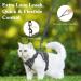 VavoPaw Cat Harness and Leash Set for Walking Adjustable Kitten Vest Harness with Reflective Strip Breathable Mesh Escape Proof Soft Pet Safety Vest for Cats Kittens Puppies S Grey Small Gray - Buy Online on GoSupps.com