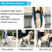 Mightyduty Portable Dog Hind Leg Support Harness | Help for Male & Female Dogs | International Shipping Available - Buy Online on GoSupps.com