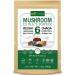 ECO-TASTE 6 Blend Mushroom Extract Powder 100g Beta-D-Glucan 30% Lions Mane Reishi Cordyceps Chaga Turkey Tail Maitake Real Fruiting Body Supplement 3.52 Ounce (Pack of 1)