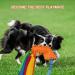 Tekcam 2 Pack Dog Tug Toys - Squeaky Agility Rope Toys for Small & Medium Dogs | Interactive Outdoor Fun - Buy Online on GoSupps.com