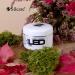 High Light LED Gel Pink BP Free 100g - Premium Quality Nail Gel for International Shipping - Buy Online on GoSupps.com