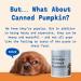 Native Pet Organic Pumpkin for Dogs - All-Natural Fiber (8 oz & 16 oz) | Mix to Create Delicious Puree | Canned Pumpkin Alternative - Buy Online on GoSupps.com