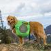Buy Ohmo Foldable Water Bowl for Dogs - No Spill Travel Bowl (680ml Camouflage Green) - Portable & Mess-Free Feeding Accessories for Car Trips - Buy Online on GoSupps.com