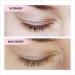 Buy JEUXLOR Superlative Lash & Eyebrow Growth Serum - 3 ml | Test Winner for Longer Lashes & Brows | International Shipping - Buy Online on GoSupps.com