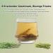 Buy Hang Caught Rosemary-Lemon Grass Tea | Digestive Aid Relaxation & Skin Care | 20 Tea Bags - Perfect Gift - Buy Online on GoSupps.com