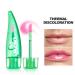MAEPEOR Changing Lip Gloss - 6 Colors Moisturizing Non-Sticky Lip Oil for Nourishing Shine | Perfect Lip Care & Dry Lip Solution - Buy Online on GoSupps.com
