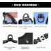 Phoepet No Pull Dog Harness - Reflective Adjustable Training Handle ID Card Baby Blue S - Easy On/Off with 3 Buckles & Double Metal Hooks - Buy Online on GoSupps.com
