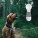 Edoxus Outdoor Dog Water Bottle - Large Capacity High Quality 2-in-1 Drinking Bottle for Pets (White) - Buy Online on GoSupps.com