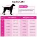 Buy Convinit Life Jacket for Dogs - Adjustable Pink Vest for Small Medium & Large Breeds - Perfect for Boating Swimming & Surfing with Handle & Reflectors - Buy Online on GoSupps.com