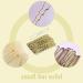 70 PCS Hair Nets for Women Bun Blonde Invisible Hair Nets Invisible Hair Nets Blonde Ballet Bun Nets Invisible Hair Nets and U Shaped Hair Pins Set for Girls Dancers Women - Buy Online on GoSupps.com