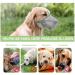 Breathable Mesh Dog Muzzle - Adjustable for Small Medium & Large Dogs | Prevents Biting Chewing & Barking - Gray (M) - Buy Online on GoSupps.com