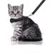 Bella & Balu Cat harry including a leash - shattered and robust breast dishes with soft inner lining and breathable mesh - for carefree walking (S black) S black