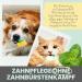 NOMS+ Dental Spray for Dogs & Cats - Natural Tartar & Plaque Remover Freshens Breath 50ml - Buy Online on GoSupps.com