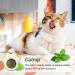 Edible Catnip Ball for Dental Care and Play - Rotatable Mint Toy for Cats - Buy Online on GoSupps.com