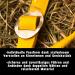 Adjustable Yellow Halter for Warmblood Thoroughbred & Cold Blood Horses | Safe Tearproof 2 Compartment Design for Stable & Pasture Use - Buy Online on GoSupps.com