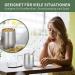 Telanks Mate Becher - 340ml Double-Walled Insulated Stainless Steel Mate Cup with Straw & Brush | Perfect Yerba Mate Mug (Silver) - Buy Online on GoSupps.com