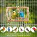 Vegena 7-Piece Wooden Bird Toy Set - Colorful Ladders with Landing Sites for Budgies Parrots and Cockatoos - Ideal Bird Cage Accessories - Buy Online on GoSupps.com