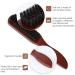 ShockAssist 2 Hair Brushes - Boar Bristles for Hair & Beard Styling | Soft Natural Bristles | Large & Small Sizes for All Hair Types - Buy Online on GoSupps.com