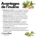SaporePuro INULIN powder 1 kg - LONG CHAIN - Prebiotic plant fiber derived from chicory roots - High performance inulin powder for fat replacement - Buy Online on GoSupps.com