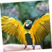 Buy Mipcase Flying Bird Diapers - Pet Pee Pads for Pigeons Chickens & Parrots | Cotton Clothing & Costumes - 20x11cm - Buy Online on GoSupps.com