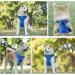 Eyin Adjustable Dog Harness for Small Dogs - Breathable Reflective Padded with Handle - Ideal for Daily Training (Light Blue Size S) - Buy Online on GoSupps.com