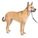 PetSafe Gentle Guide Collar with Training DVD Medium Royal Blue