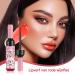 Lipliner Nourishing Lip Gloss Wine Red Liquid Lip Gloss Matte Finish Water Resistant For Dating And Family Parties 02 B - Buy Online on GoSupps.com