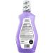 Amazon Basics Anticavity Fluoride Mouthwash - Alcohol Free, Violet Mint, 1 Liter (33.8 Fl Oz) - 1-Pack - Buy Online on GoSupps.com
