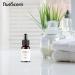 Buy White Tea & Thyme Aroma Oil for Scent Diffusers - 10ml (0.33 Fl Oz) | International Shipping Available - Buy Online on GoSupps.com